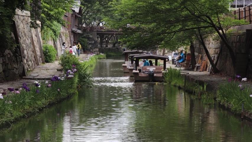 近江八幡水郷巡り